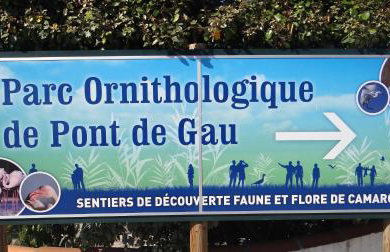 Logis Le Nid du Pont de Gau - Foto 100