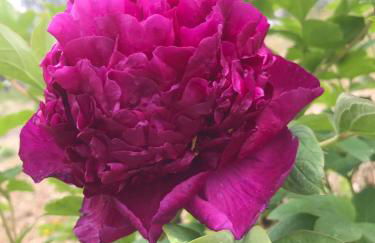 La Casa di Franco - Photo 10