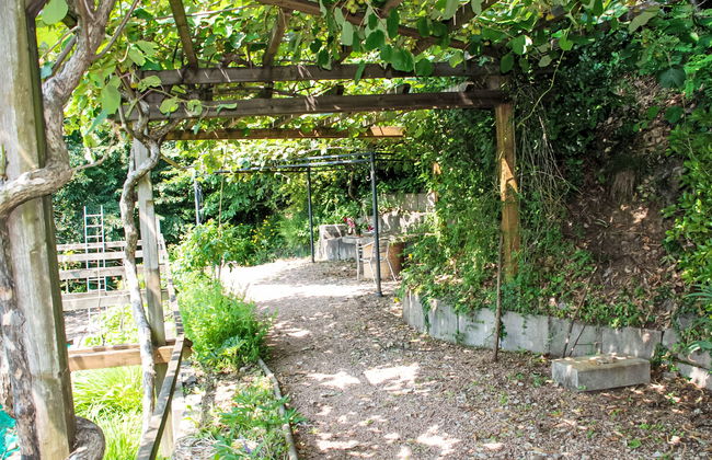 Studio al vigneto - Foto 15