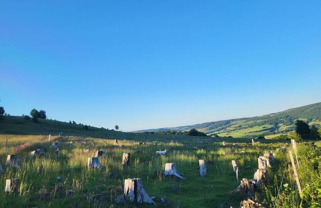 Holiday Home Birx Rhon - Foto 19