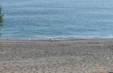 evia mourteri Apartment - Foto 17