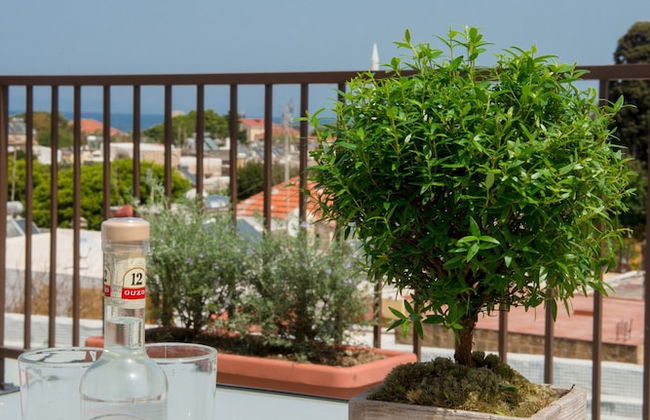 Emerald Dream House - Foto 11