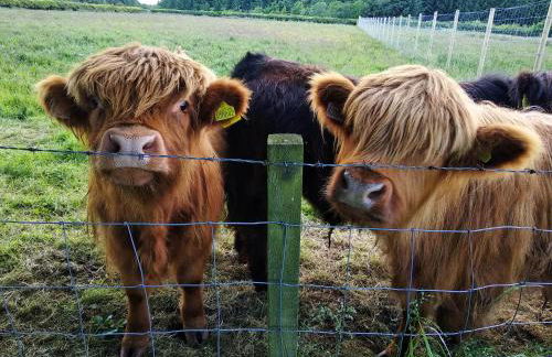 Cottage with Panoramic Views - Photo 22