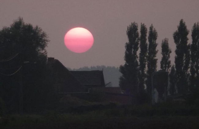 Family Farmhouse, Ploegsteert - Foto 39