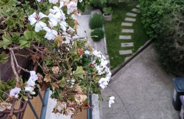 Palme Apartments - Photo 18