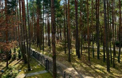 Domek w lesie nad zalewem - Foto 14