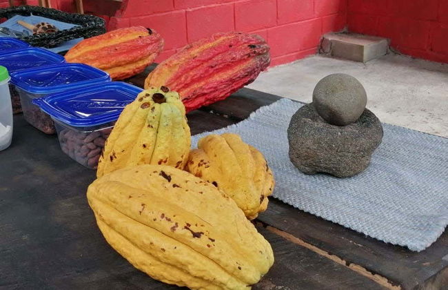 Tour del cioccolato a Guápiles - Foto 1