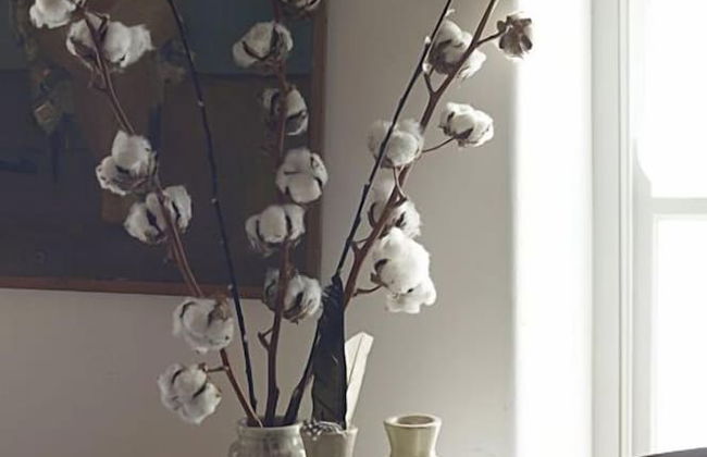 The Pavement Palace - Photo 8