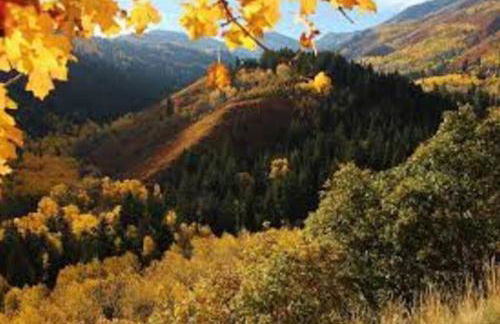 Midway to Heaven! BRAND NEW 5 bed 4.5 bath, HOTTUB - Photo 4