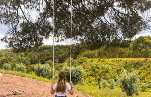 Monte do Pereiro - Foto 55