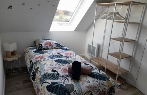 La casa Tata - Foto 20