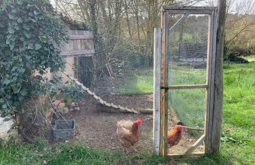 Can Carreras - Foto 50