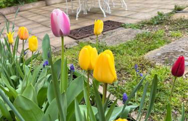 L'Atelier d'Olga - Homillesime - Foto 38