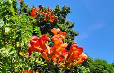 En bord de rivière - Foto 63