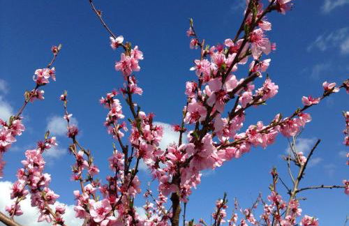 Ferienwohnung Wittker - Foto 28