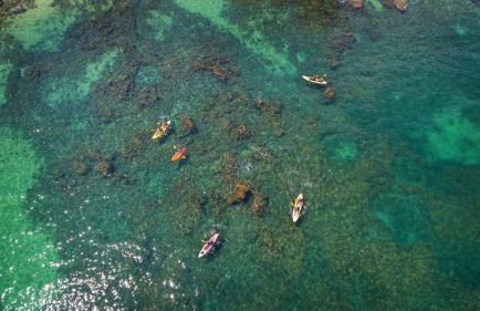 Albufeira Family Holidays with Pool View - Foto 32