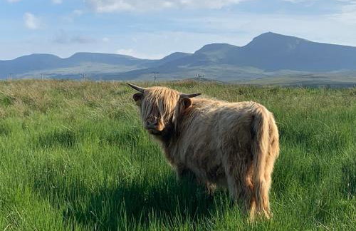 Driftwood Cottage - Photo 41