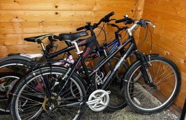 Krynicki Zakątek Domek Wypoczynkowy Całoroczny Mochnaczka Niżna - Foto 24