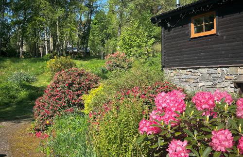 Squirrel View - Foto 14