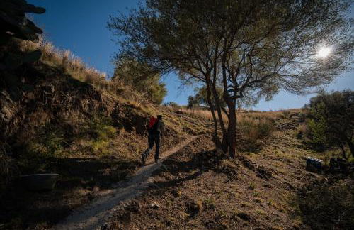 Agriturismo Pietre di Gelo - Foto 23