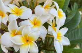 Arrebol Suite con Jacuzzi, piscina y naturaleza - Foto 12