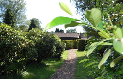 Ferienhaus Groenhoff 35122 - Foto 10