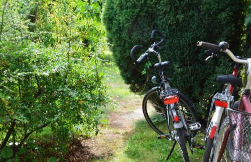 Ferienhof Mochowsee - Foto 104