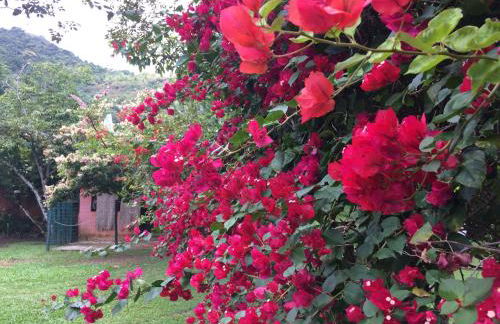 Casa Colonial Térrea no Saco da Capela em Ilhabela - Foto 40