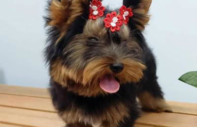 América Executive Apart Hotel Campos - LAMAG - Foto 39