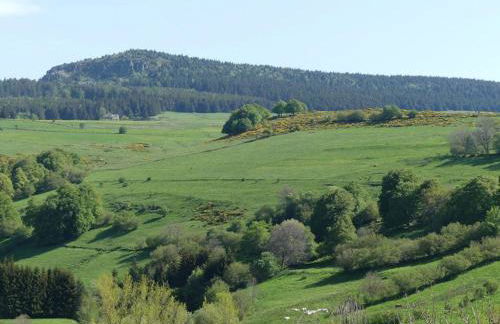 Gîte paisible et chaleureux avec grande terrasse - activités nature et patrimoine à proximité - FR-1-582-143 - Photo 8