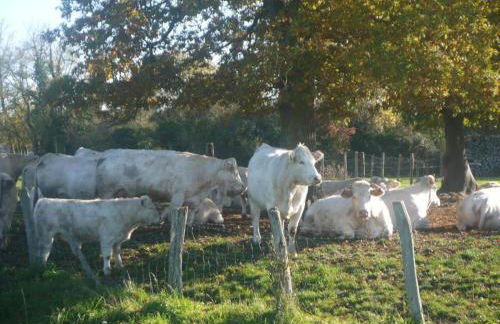 Au clos de marie - Foto 31