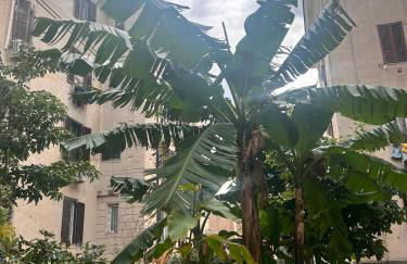 La Casa di Testaccio Apartment - Foto 17