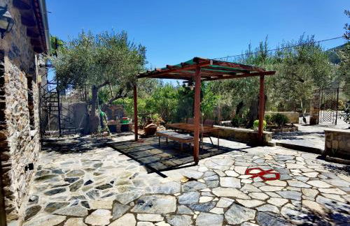 Elaion Thea-Nies - Photo 3