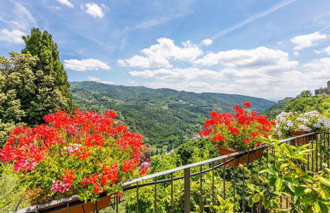 Poggetto 1 - Foto 30