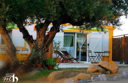 Monte do Mato dos Homens - Foto 62