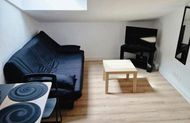 Les flamants Roses la Capte Clim 4pers 100m plage - Foto 10