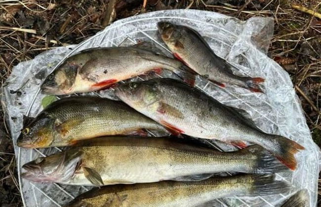 Holiday Home Hus Rusken - Foto 16