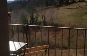 Apartament FREIXE de Molló Parc - Foto 15