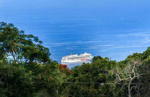 Orchid Hale - Foto 13