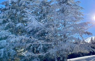 Appartement Chalet à 1400m - Station du Mourtis - Foto 20