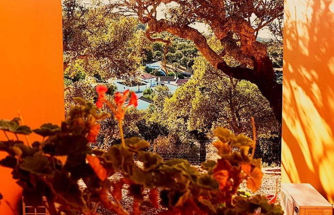 Monte da Esperança - Foto 34