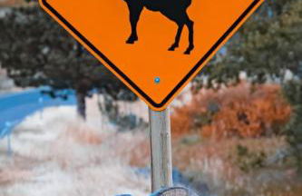 Prickly Pear Cabin - Foto 12