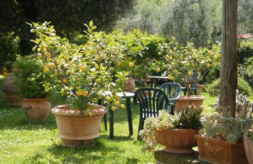 Agriturismo Poggio Alle Lame - Foto 46