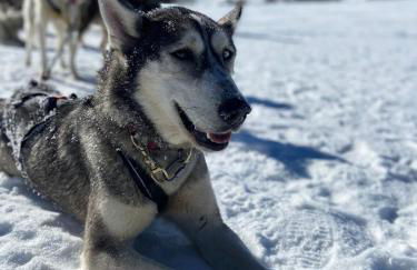 Maison avec jardin aux Cabannes - Ariège - Foto 25