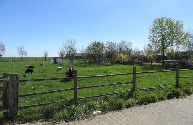 Sun-kissed Villa in Diksmuide With Garden, Sauna - Foto 40