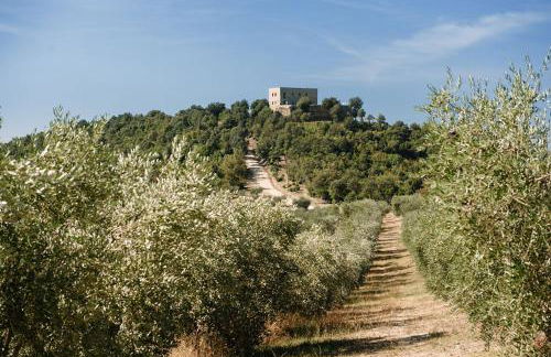 Tenuta di Forte Sorgnano - Foto 46