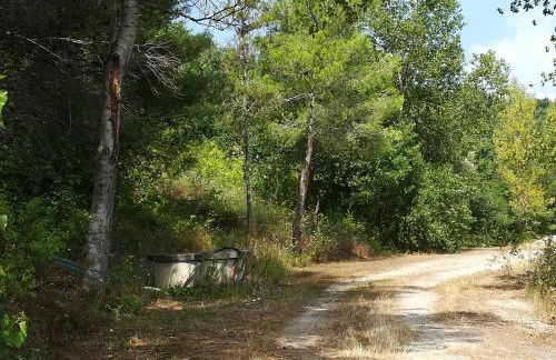 Agriturismo I Tre Ulivi - Foto 21