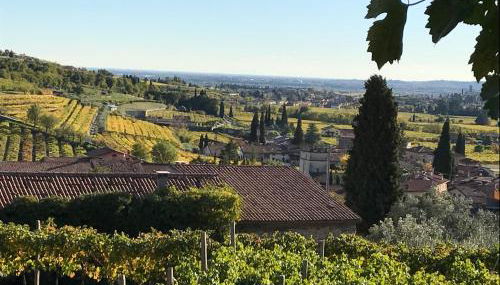 Corte Lavarini The Magic At Sight - Foto 2