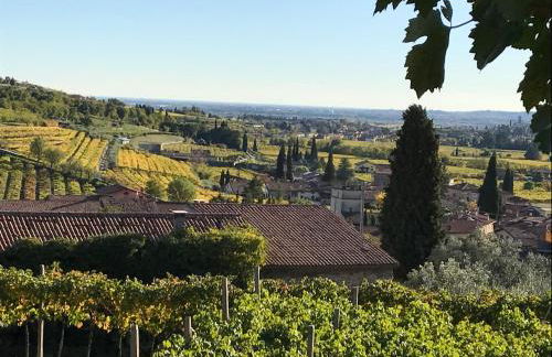 Corte Lavarini The Magic At Sight - Foto 2