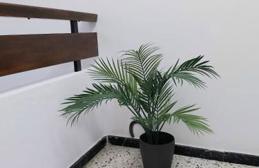 Roque`s House A - Foto 44